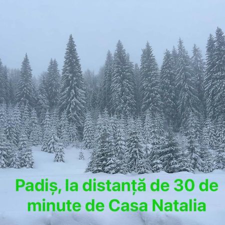 Casa Natalia Hotell Chiscau Exteriör bild